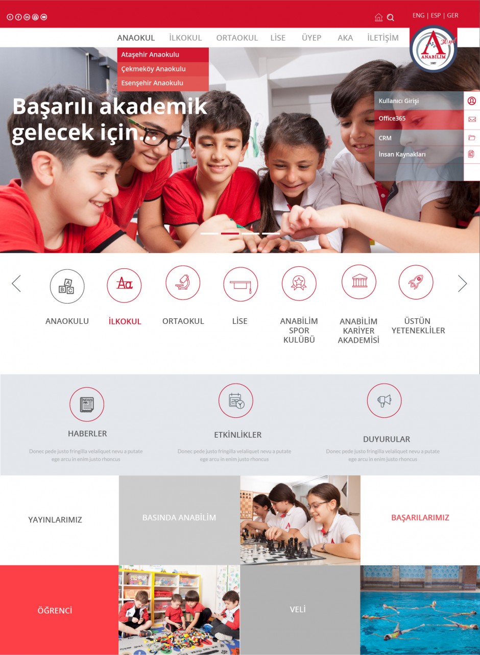 web layout